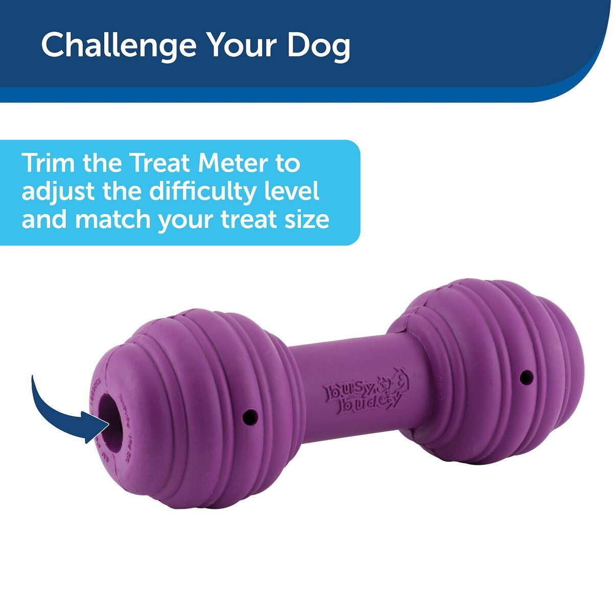 PetSafe Busy Buddy Chuckle Squeaky Treat Dispenser Dog Toy