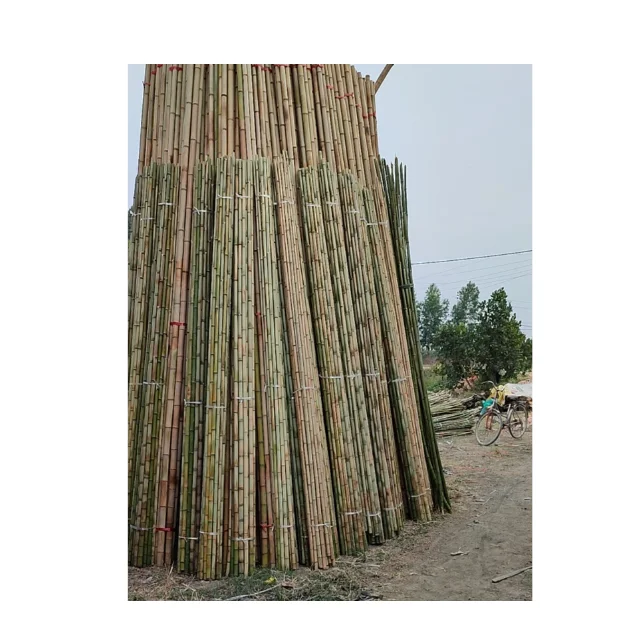 100% Natural Bamboo Poles Vietnam Bamboo Canes for Sale in Large Quantities Bamboo Canes for Garden Supplies