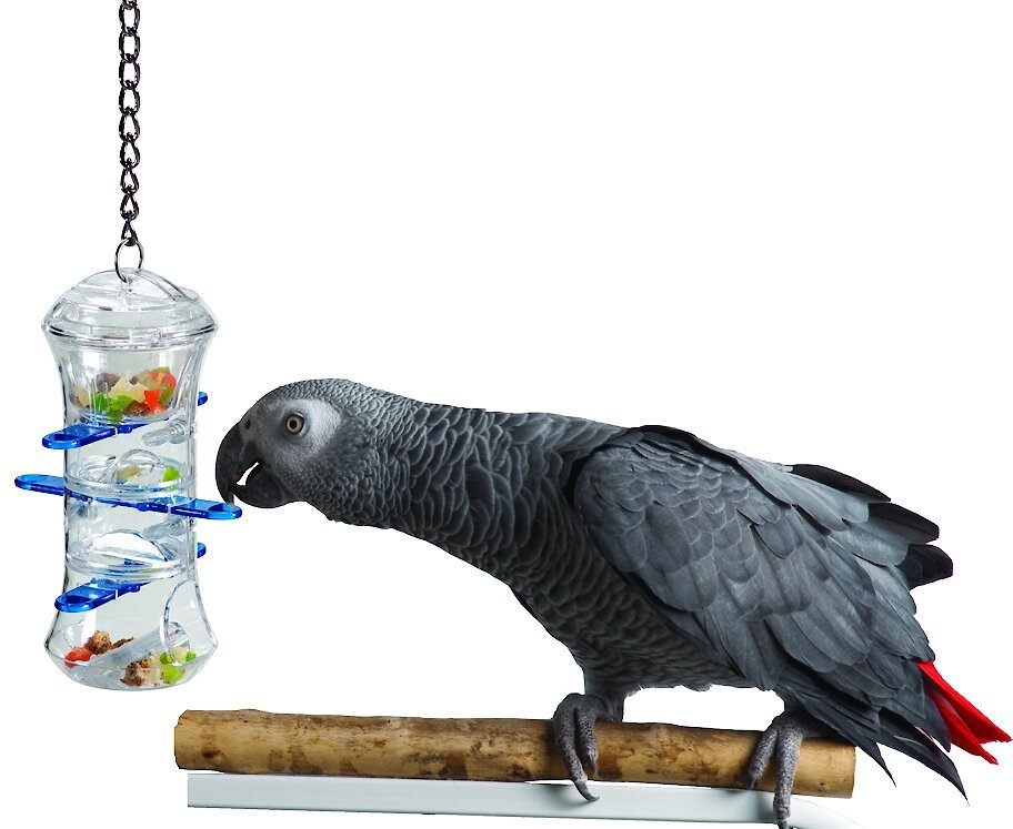 Caitec Featherland Paradise Push and Pull Bird Toy