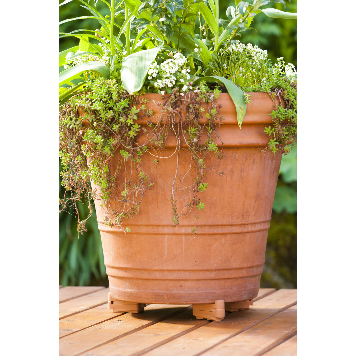 Pot Toes The Decksaver 1 in. H X 2 in. W X 3 in. D Plastic Planter Feet Terracotta