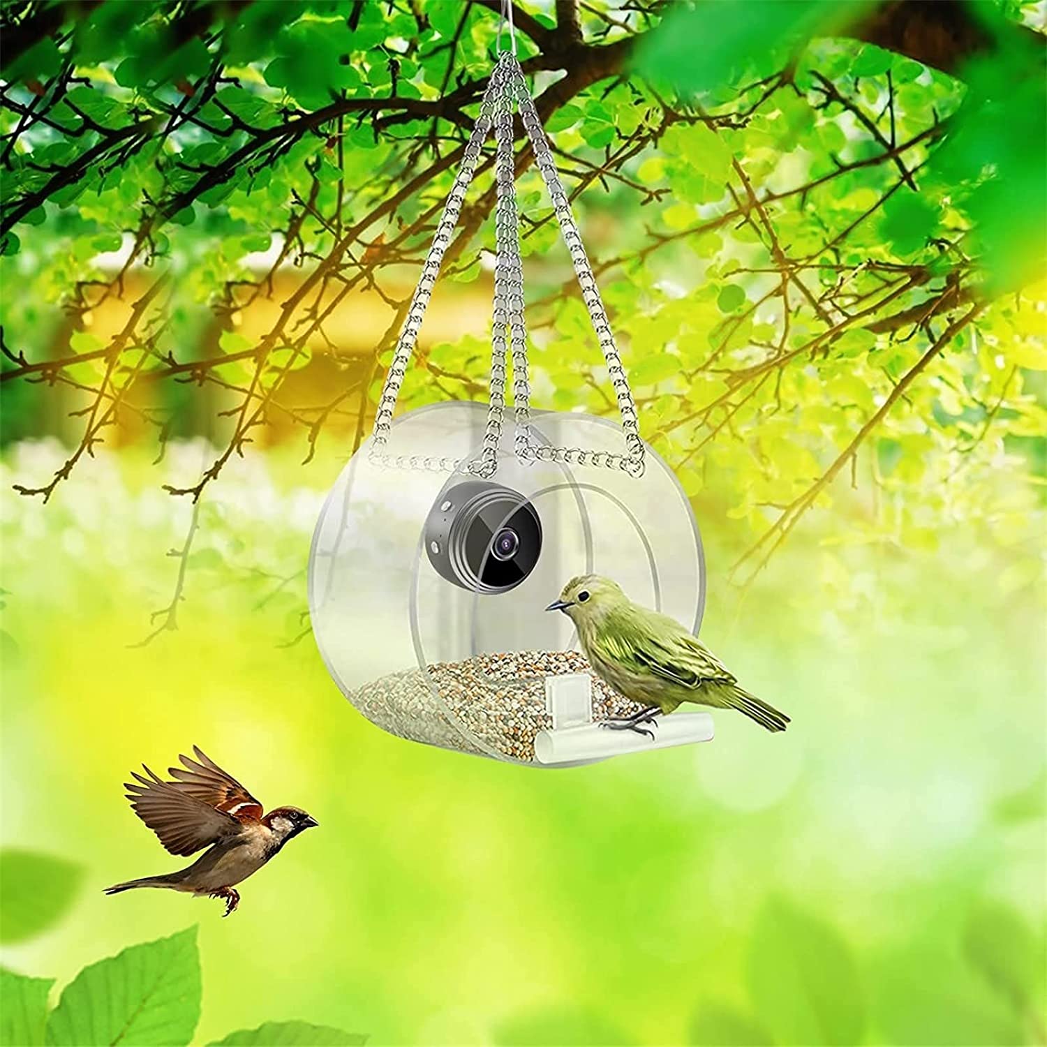 HOUFIY Bird Feeder with Camera，1080P Night Version Camera for Outdoor Bird Watching Photos