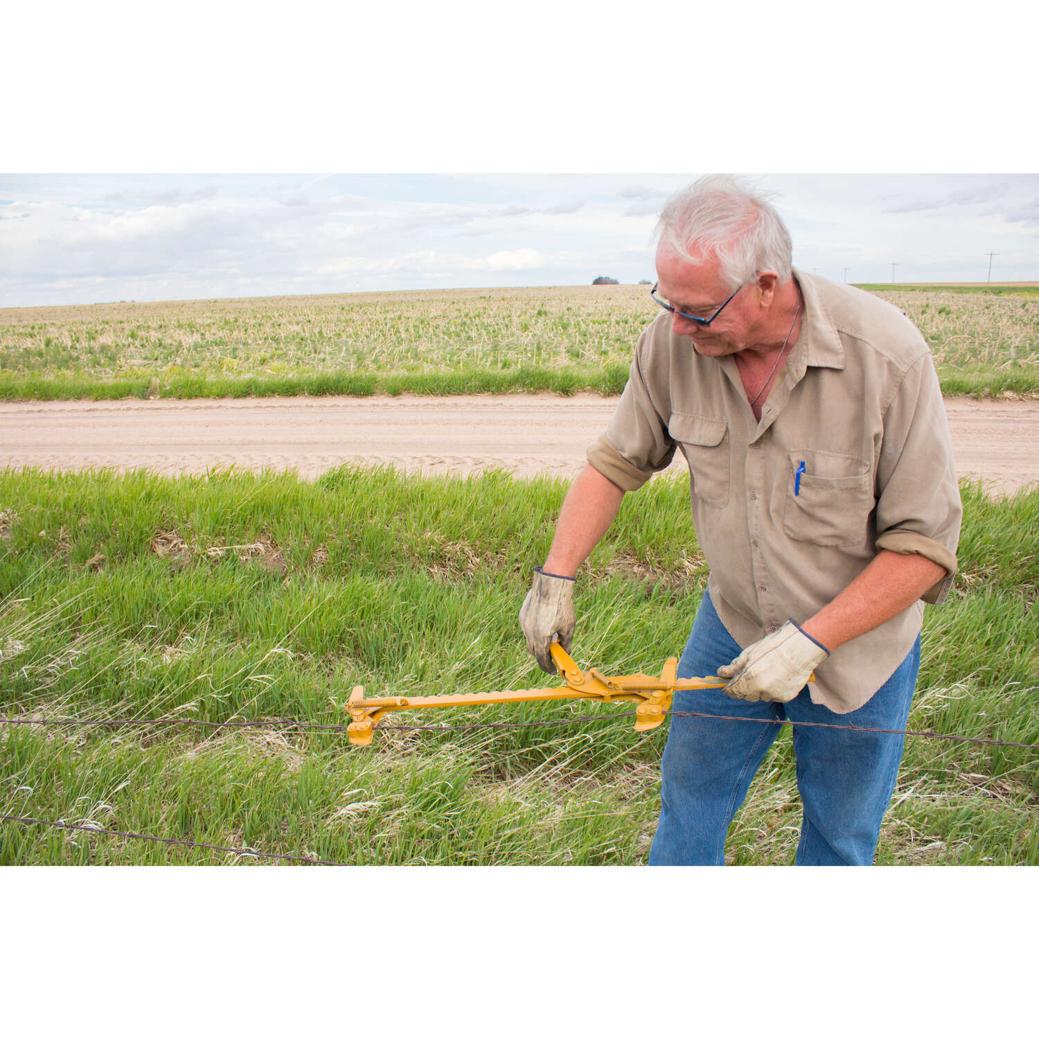 Goldenrod Fence Stretcher Yellow