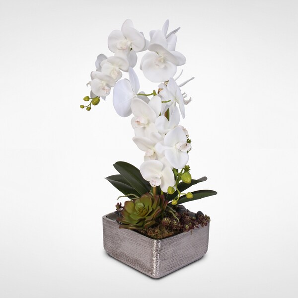 Real Touch White Phalaenopsis Orchid with Succulents in a Silver Ceramic Pot