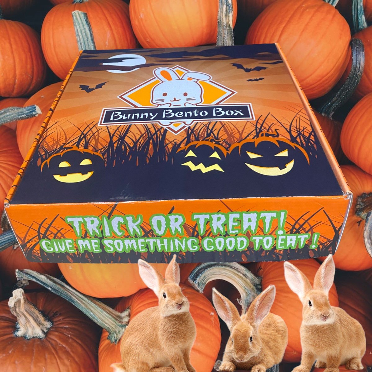 Sweet Meadow Farm Halloween Edition Bunny Bento Box Small Pet Treats， 10-oz box