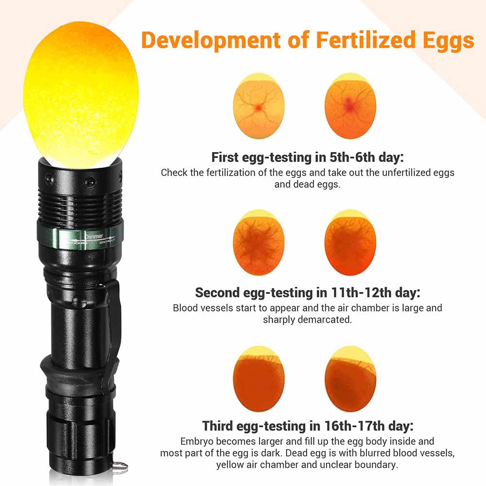 Yescom 5w LED Egg Tester Torch Handheld Egg Candler Cool Lite Light