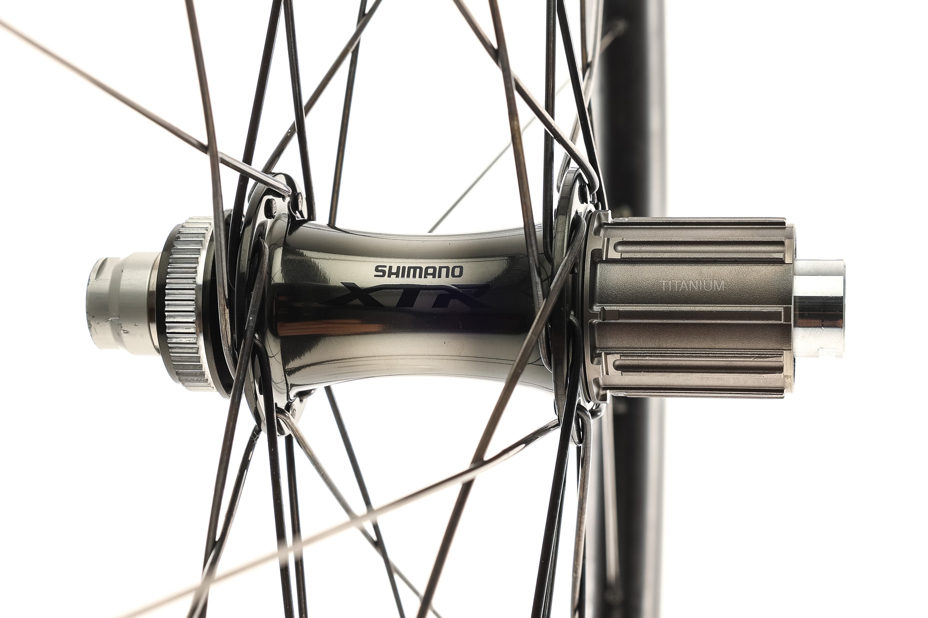 Astral Hollywood w/XTR Hubs Carbon Tubeless 29