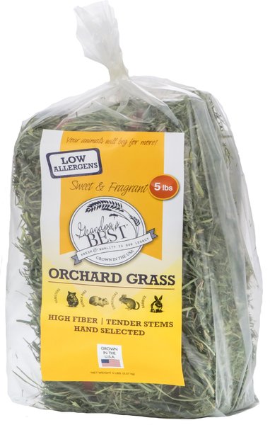 Grandpa's Best Orchard Grass Hay Small Pet Food