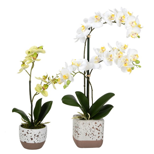 Artificial Mini White Phalaenopsis， Set Of 2， Real Touch