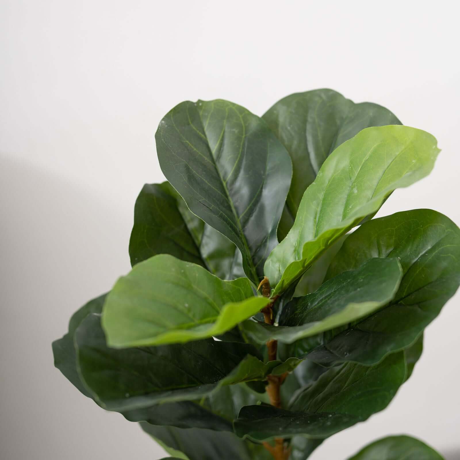 2 Pack Artificial Fiddle Leaf Fig Tree Potted Indoor Planter 3ft