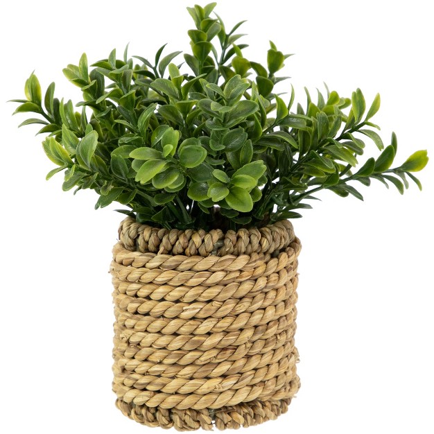 Artificial Milan Leaf Bush In Rattan Basket