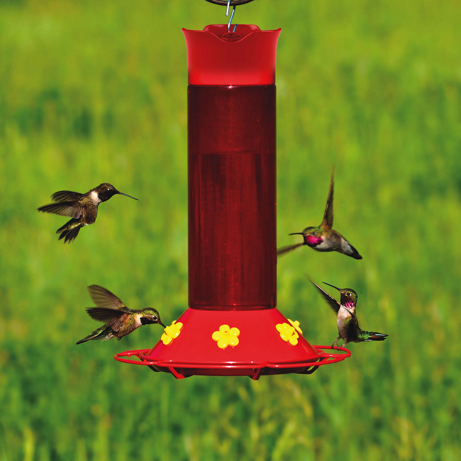 Perky-Pet Hummingbird 30 oz Plastic Nectar Feeder 6 ports