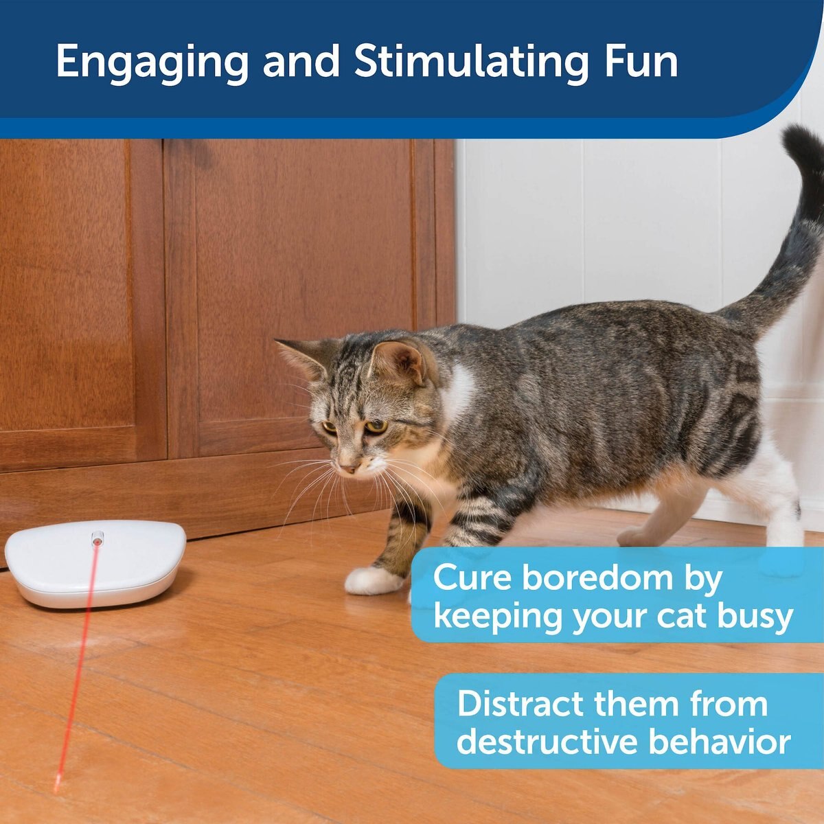 PetSafe Laser Tail Laser Cat Toy