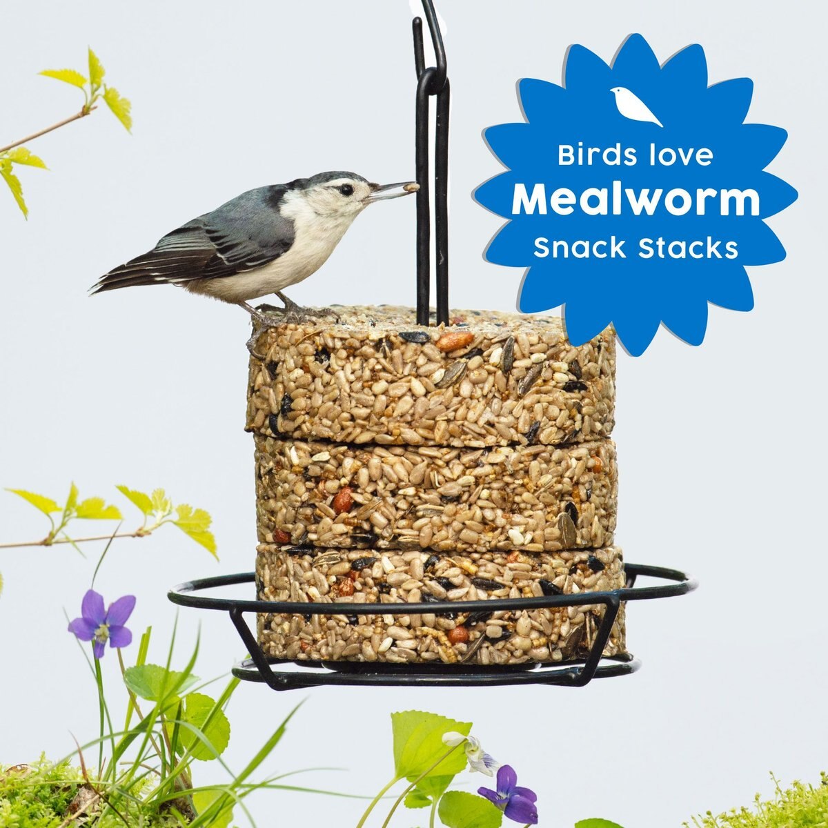 Harvest Seed and Supply Mealworm Snack Stack Wild Bird Food， 9-oz cake， pack of 6