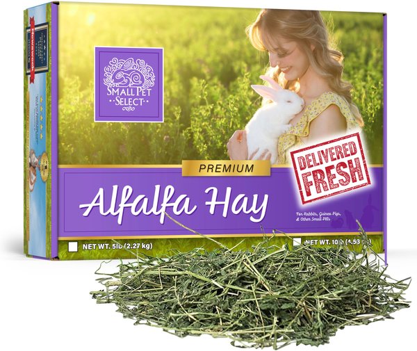 Small Pet Select Alfalfa Hay Small Pet Food