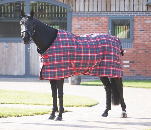 Shires Equestrian Products Tempest Plus Stable Rug Horse Blanket