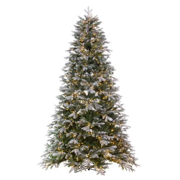 Vickerman 9' x 66 Frosted Douglas Fir Artificial PreLit Christmas Tree，Warm White 3mm Low Voltage LED Wide Angle Lights.