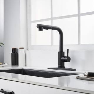 FORIOUS Single-Handle Kitchen Sink Faucet with Pull Down Sprayer Kitchen Faucet in Black HH0025B