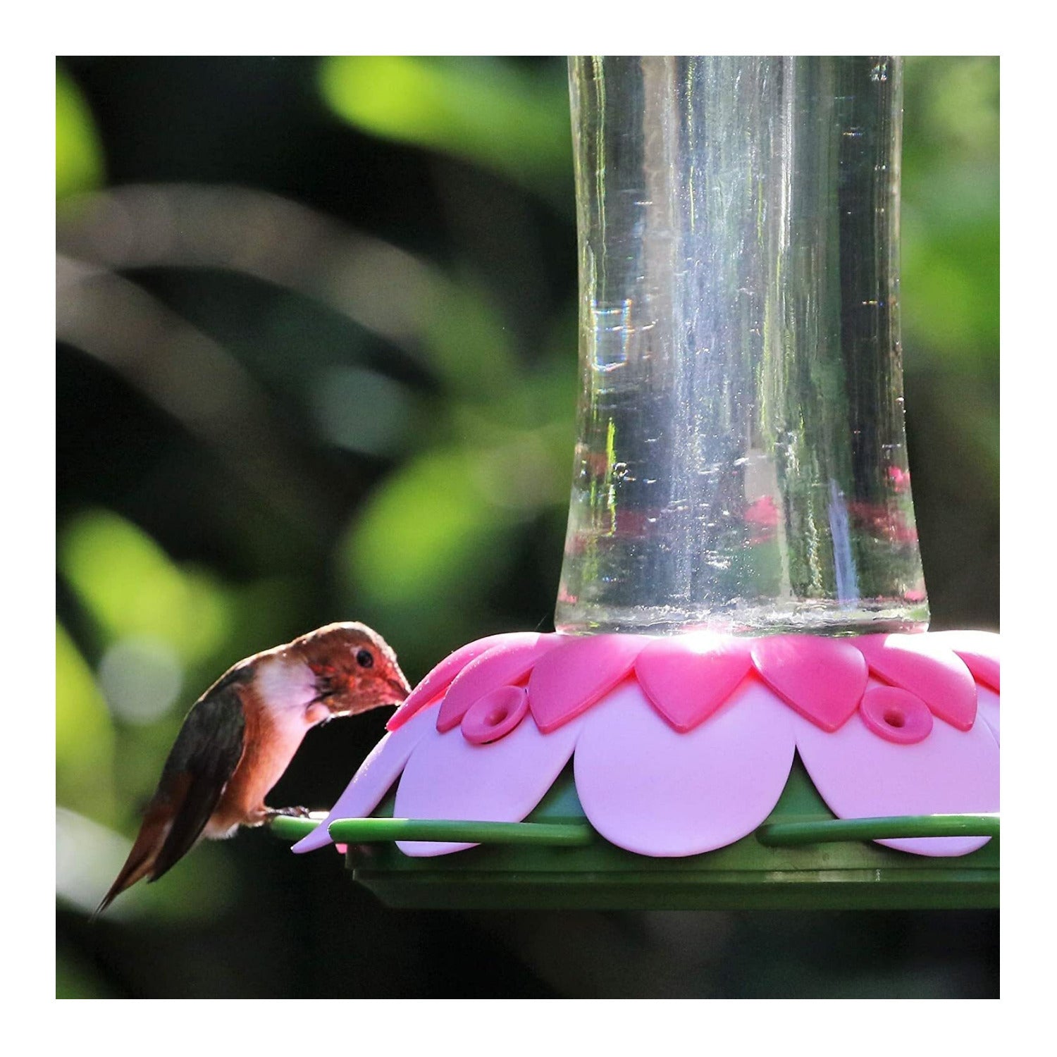 Nature's Way So Real Pink Fuchsia 20 oz Glass Hummingbird Feeder