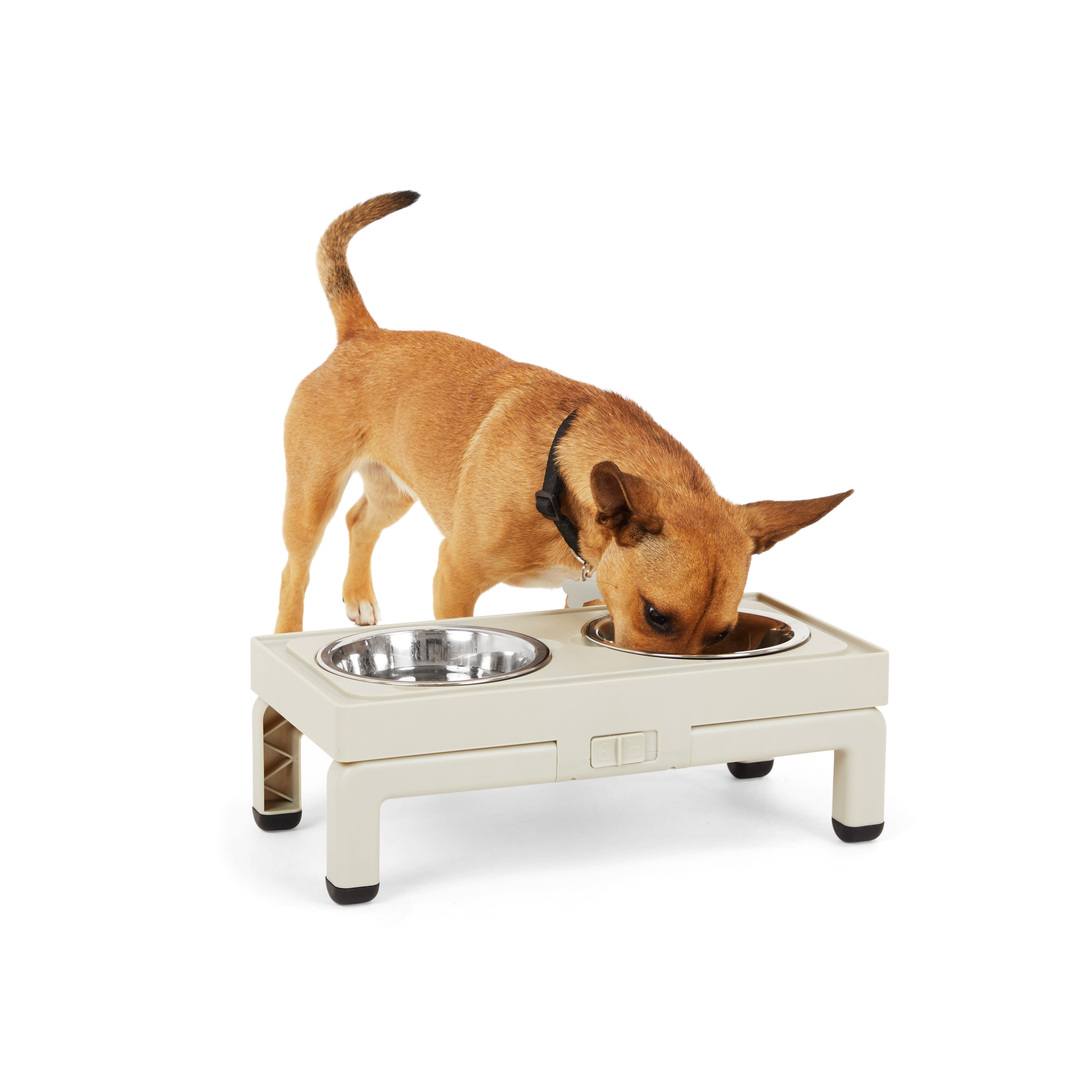 EVERYYAY Adjustable Double Diner Dog Bowl， 3.18 Cups