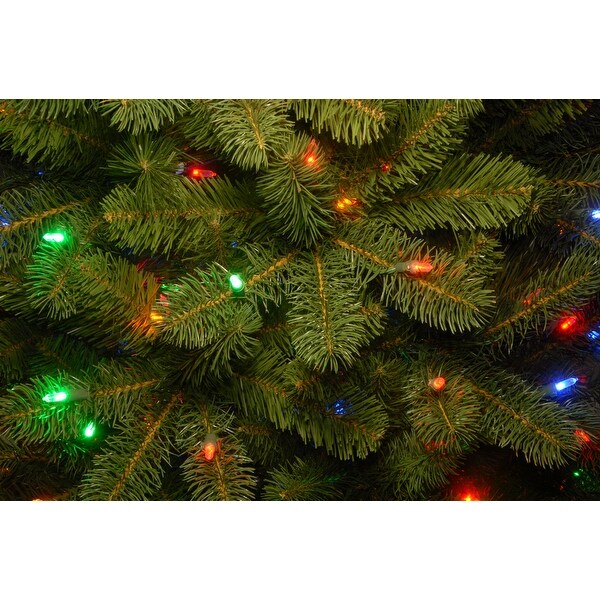 National Tree Company 6.5 ft.Downswept Douglas Fir Tree with Dual Color LED Lights