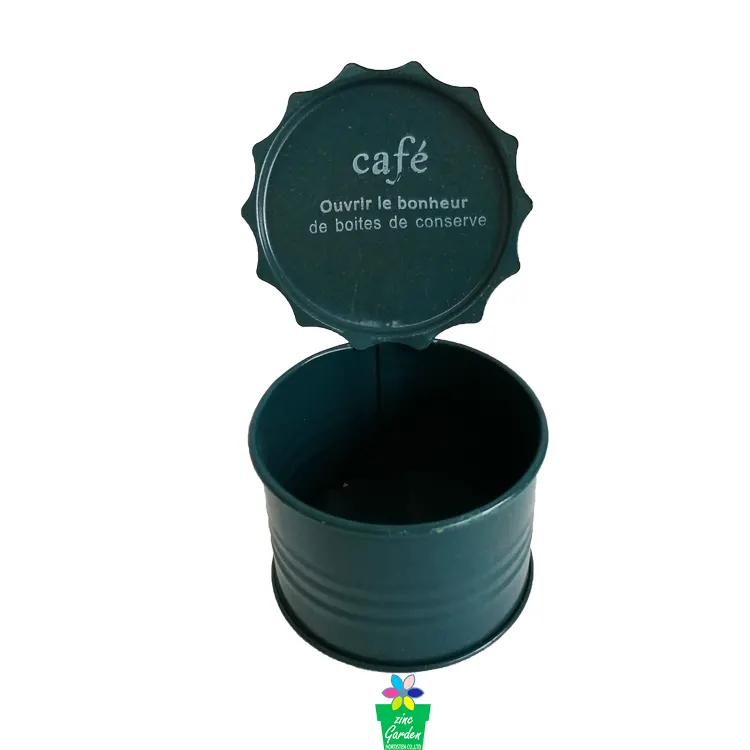 Mini New Design Succulent Flower Pots with Decorative Lid  coffee/tea/biscuits  Metal Jar For  Kitchen Catering Appliances