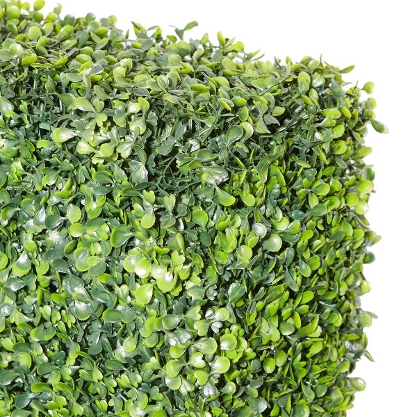 Exclusive and Utmost Beautiful Boxwood Hedge