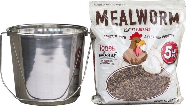 Flock Fest Dried Mealworms Adult Chicken Treats， 5-lb bag and Stainless Steel Feeder Bucket