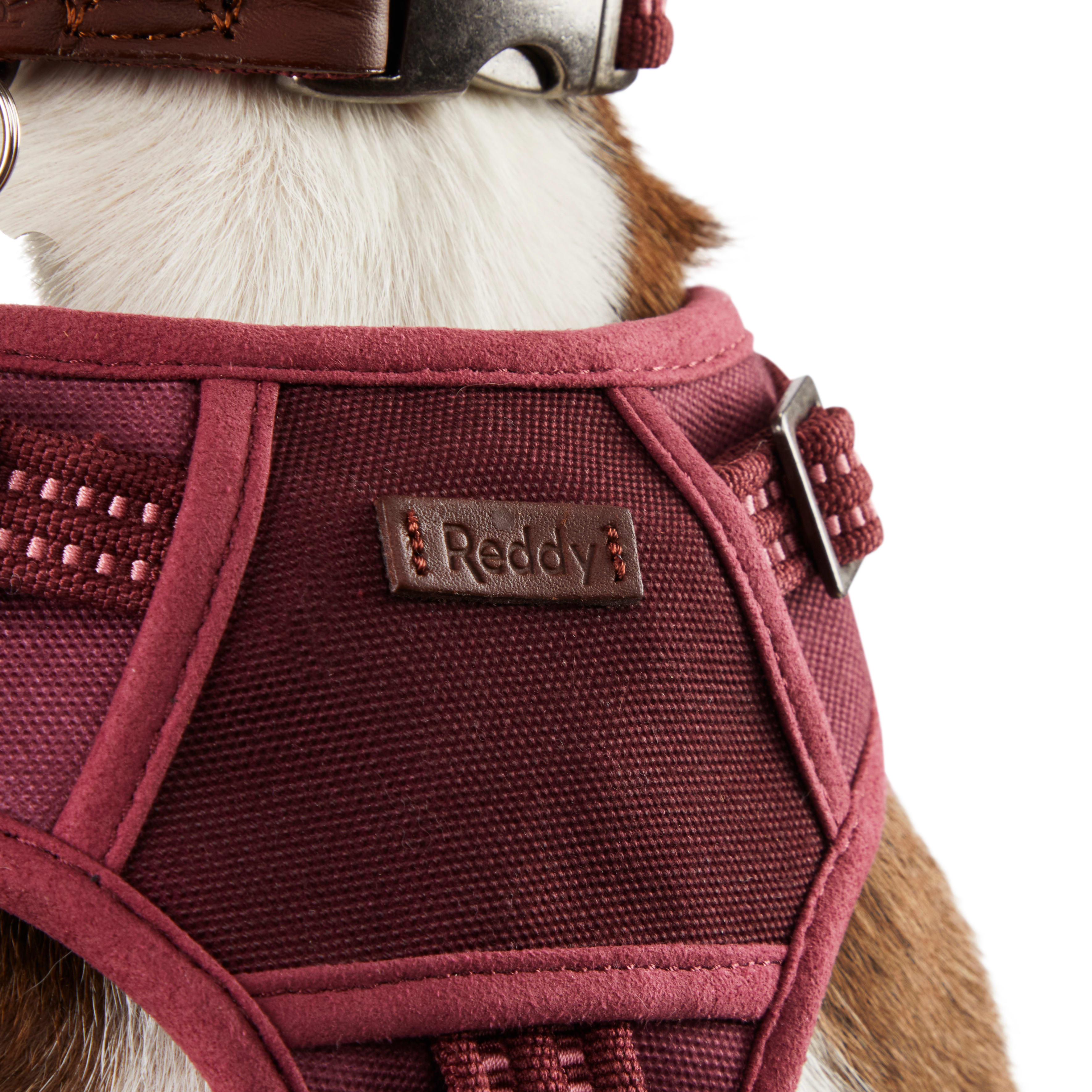 Reddy Burgundy Canvas Dog Harness， Medium