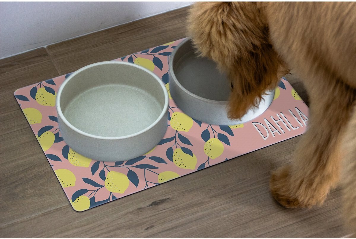 904 Custom Personalized Lemon Illustration Dog and Cat Placemat