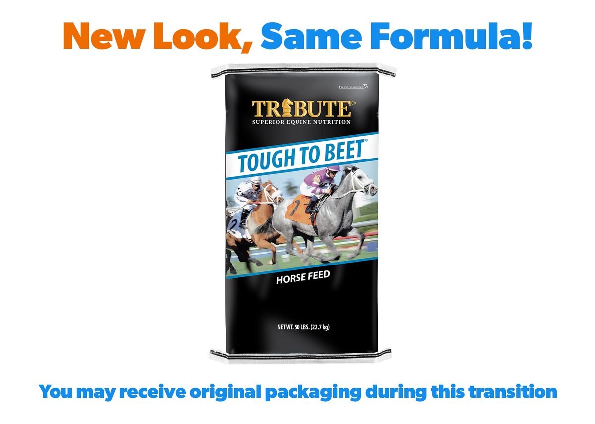 Tribute Equine Nutrition Tough To Beet Higher Fat Horse Feed