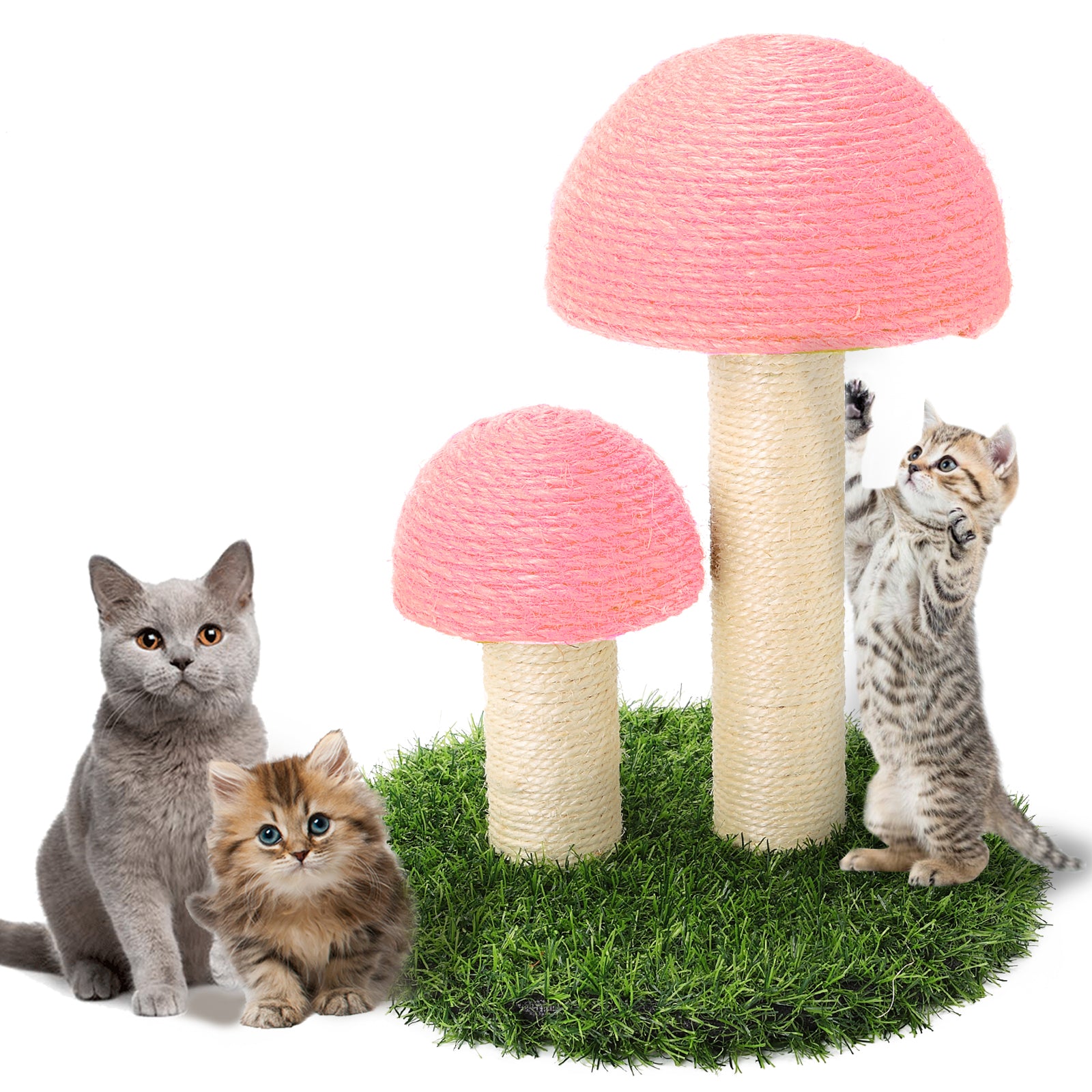 PinkSheep Cat Scratching Post， 17