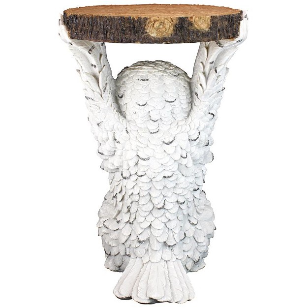 Design Toscano Wisdom Owl Sculptural Side Table