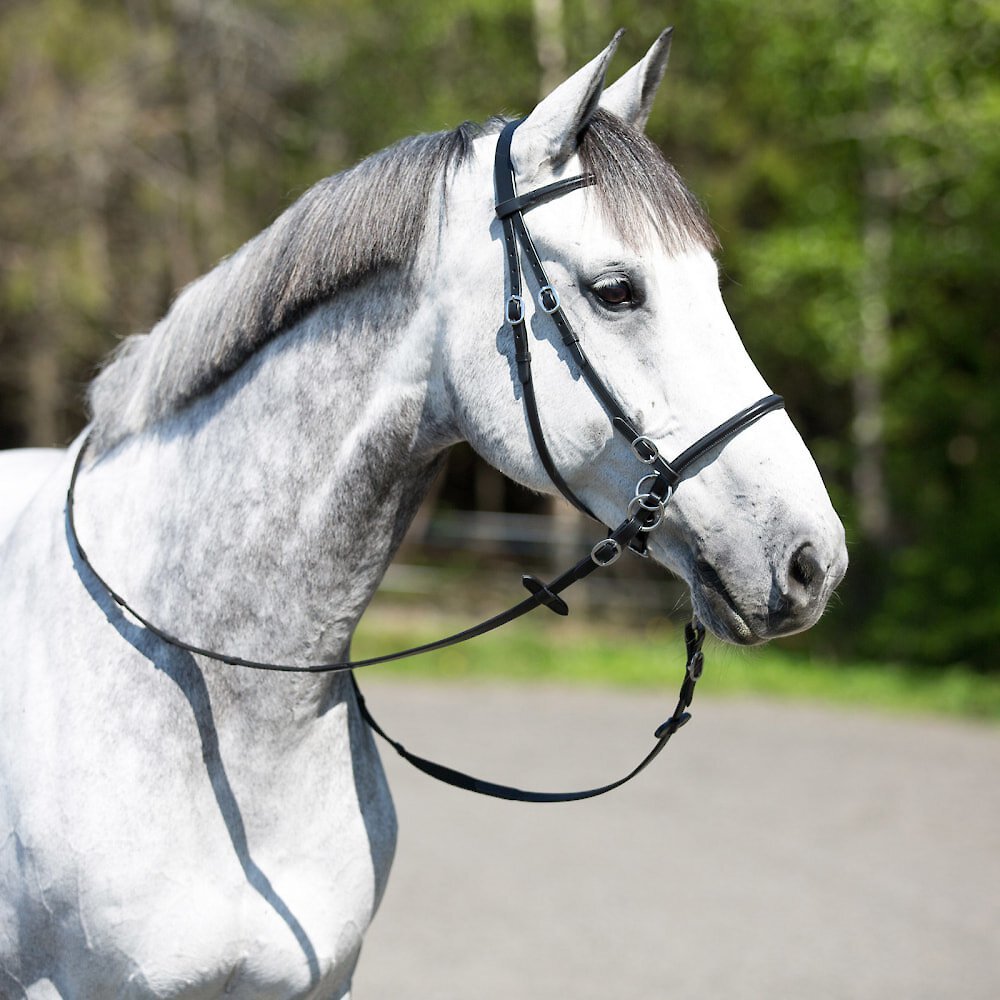 Horze Equestrian Leather Bitless Horse Bridle， Black