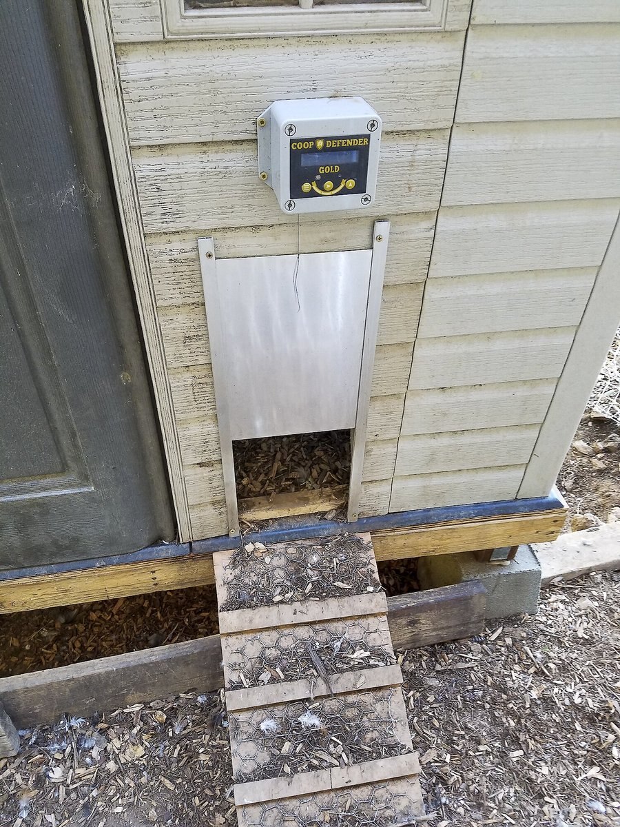 My Favorite Chicken Coop Defender Gold Automatic Chicken Coop Door Opener