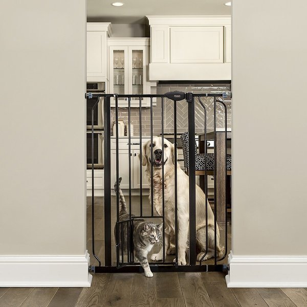 Carlson Pet Products 36-in Extra Tall Dog Gate， Large