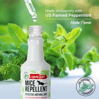 Mighty Mint 16 oz. Peppermint Oil Mice Repellent Spray MS-16