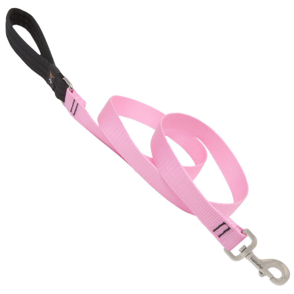 DOG LEASH 6FT 1