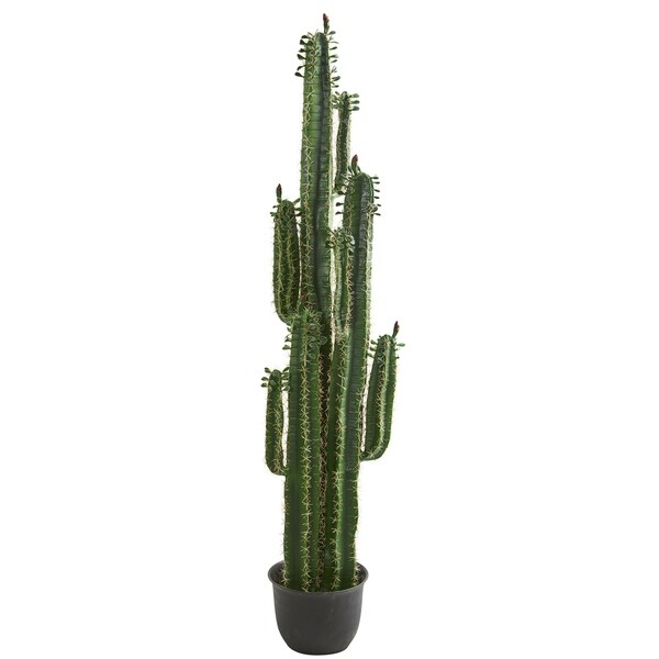 6.5' Cactus Artificial Plant