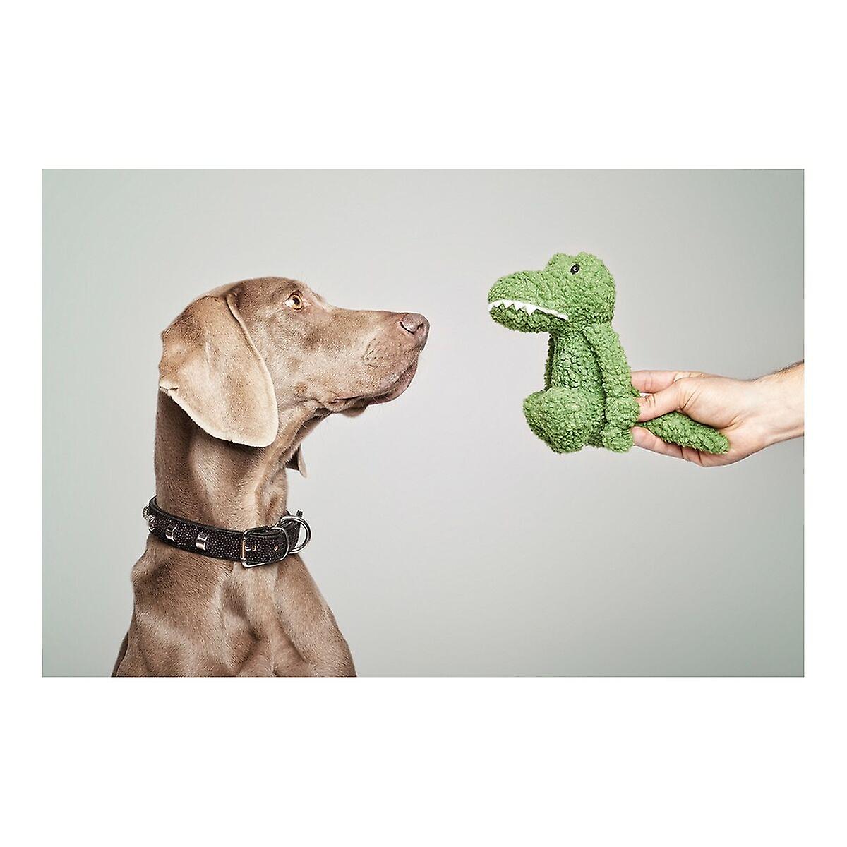 Dog toy Gloria Pinky Crocodile Green