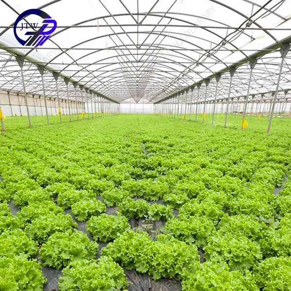 Winter Greenhouse System Supply Large Greenhouse Agricultural For Plants