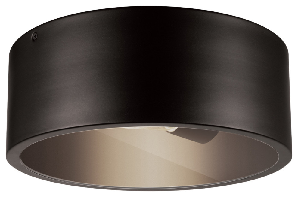 Teagan 1 Light Dark Bronze Outdoor Indoor Flush Mount Ceiling Light   Transitional   Outdoor Flush mount Ceiling Lighting   by Globe Electric  Houzz