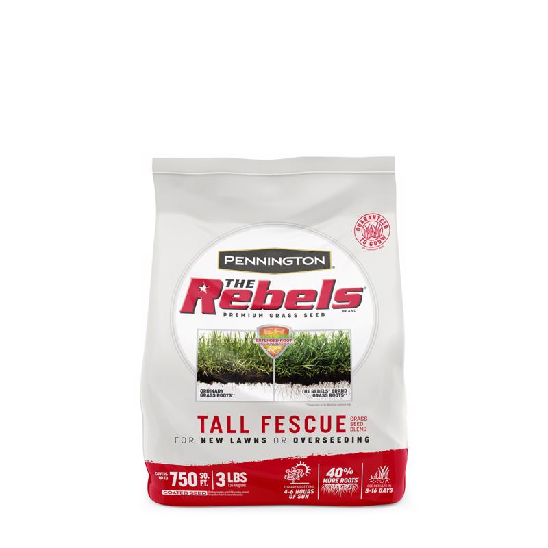 REBEL TALL FESCUE 3 LB