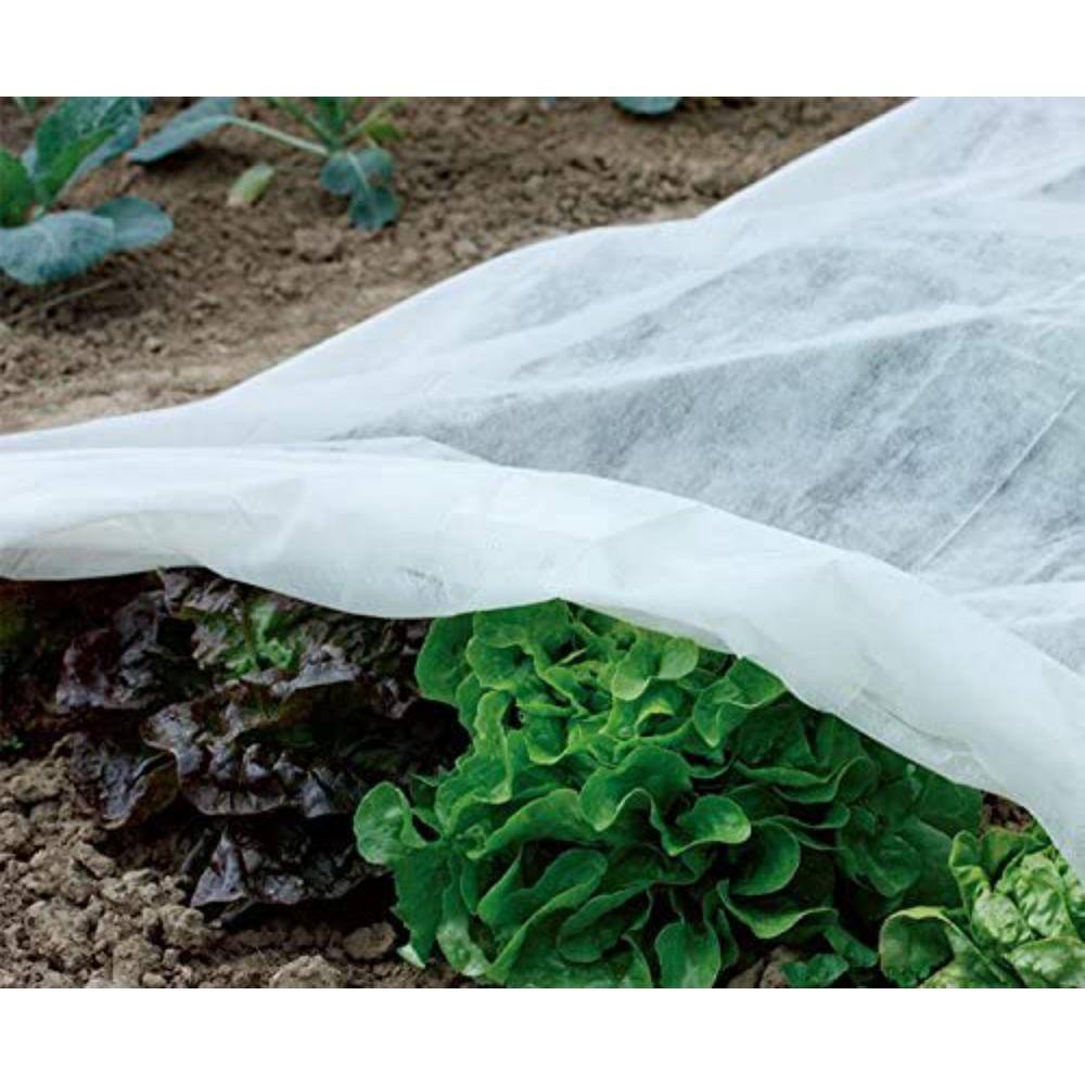 Agfabric 1.5 oz. 14 ft. x 50 ft. Plant Row Cover and Frost Blanket for Garden Seed Germination and Frost Protection Cover PC1514050