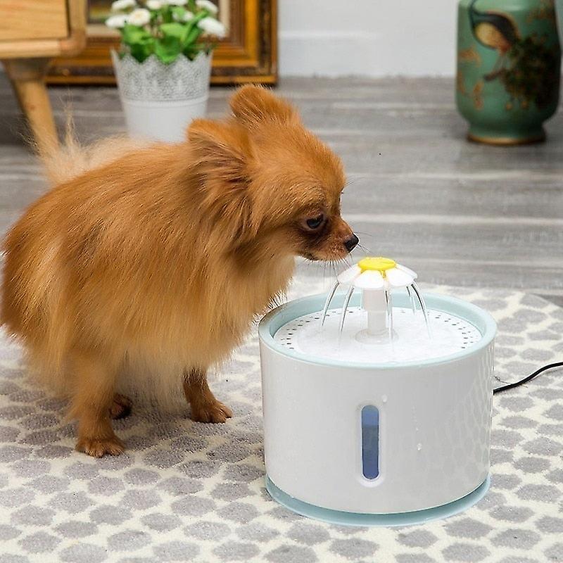 Ultra quiet dog drinking water fountain