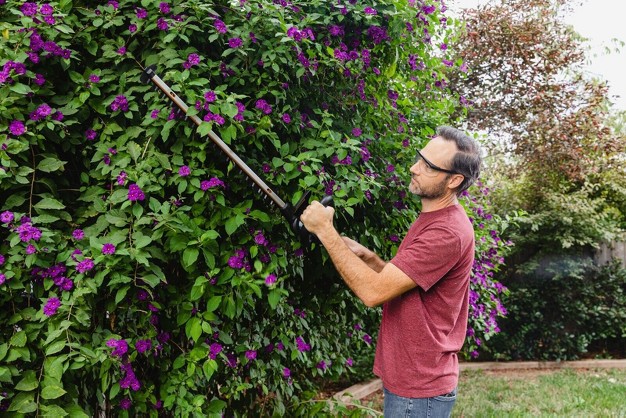 Hedge Trimmer