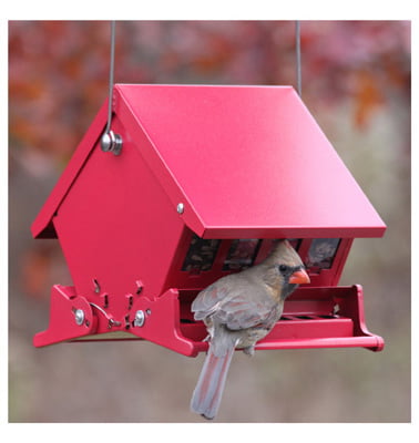 1PK Audubon Mini Absolute II Squirrel Proof Hopper Bird Feeder Roof Locks