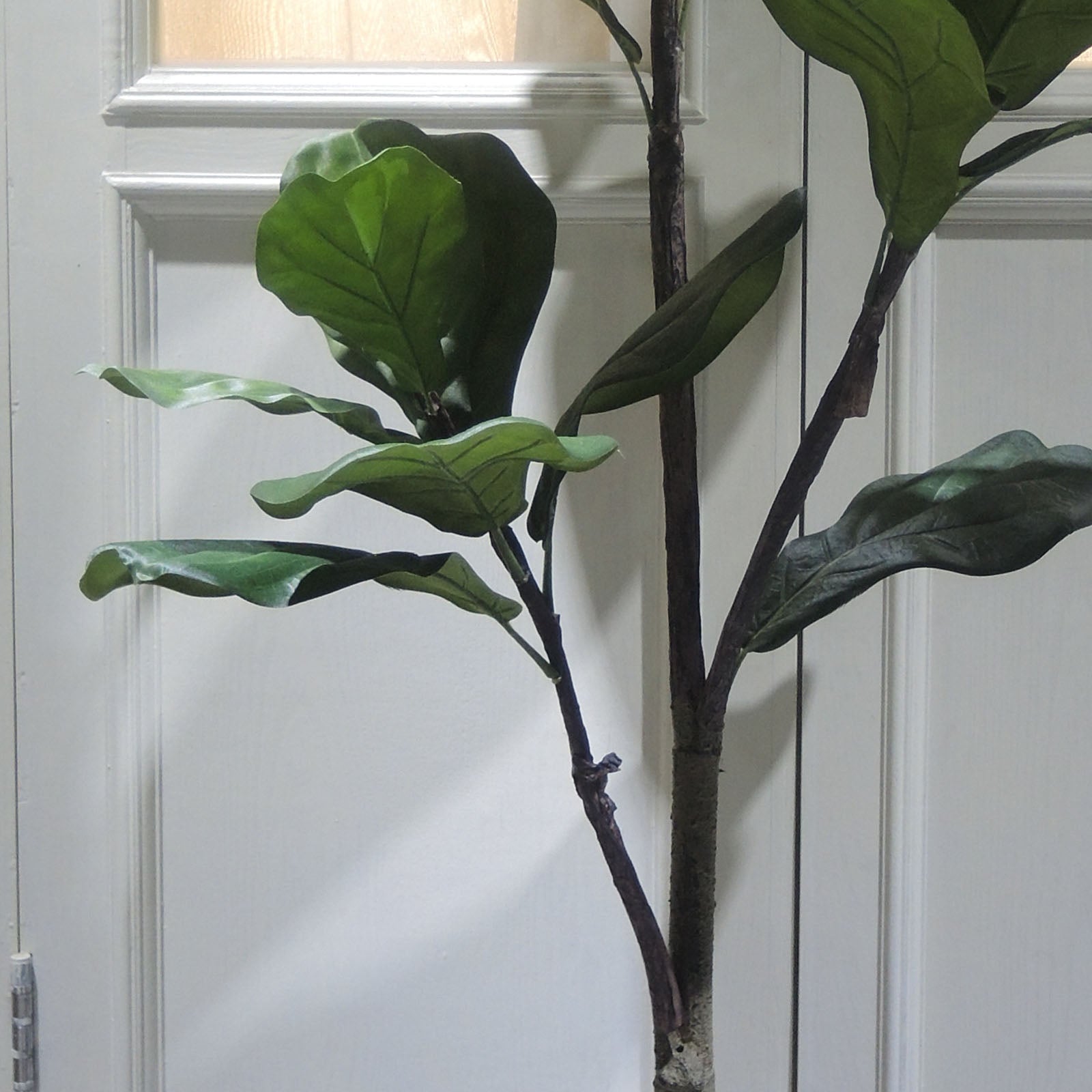 Handmade Decorative Artificial Fiddle Of Fig Tree N35120-S054