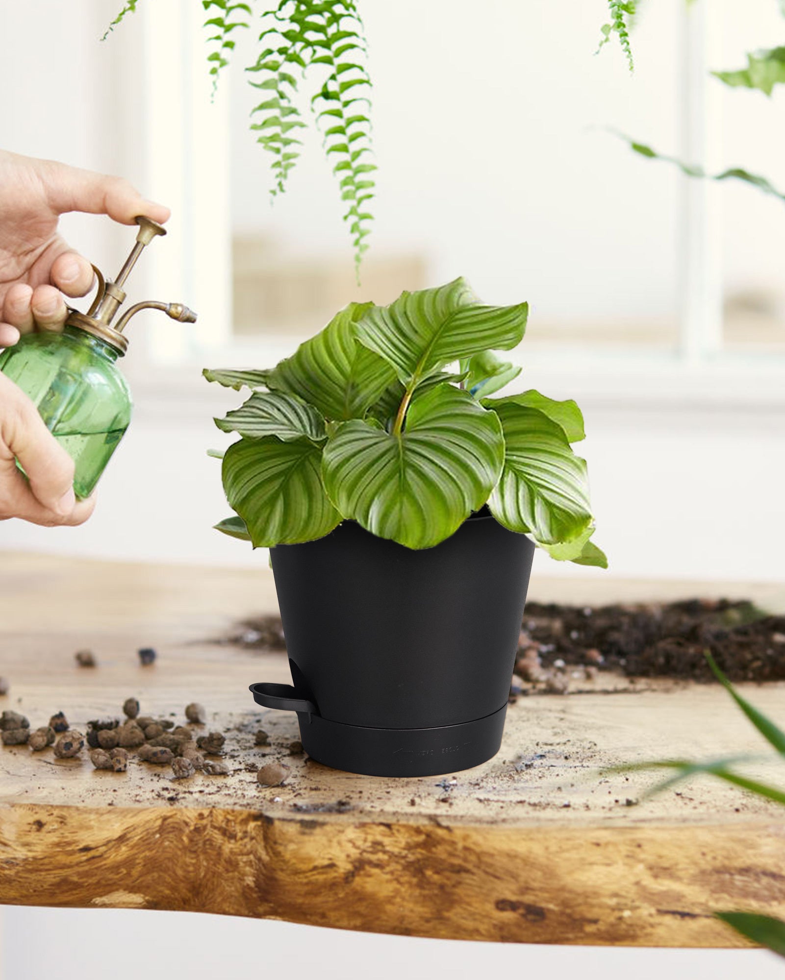 6 Inch Plant Pots Set of 6, Plastic Planter with Drain Holes and Removable Base, Black Flower Pot with Watering Lip for Indoor Outdoor House Plants