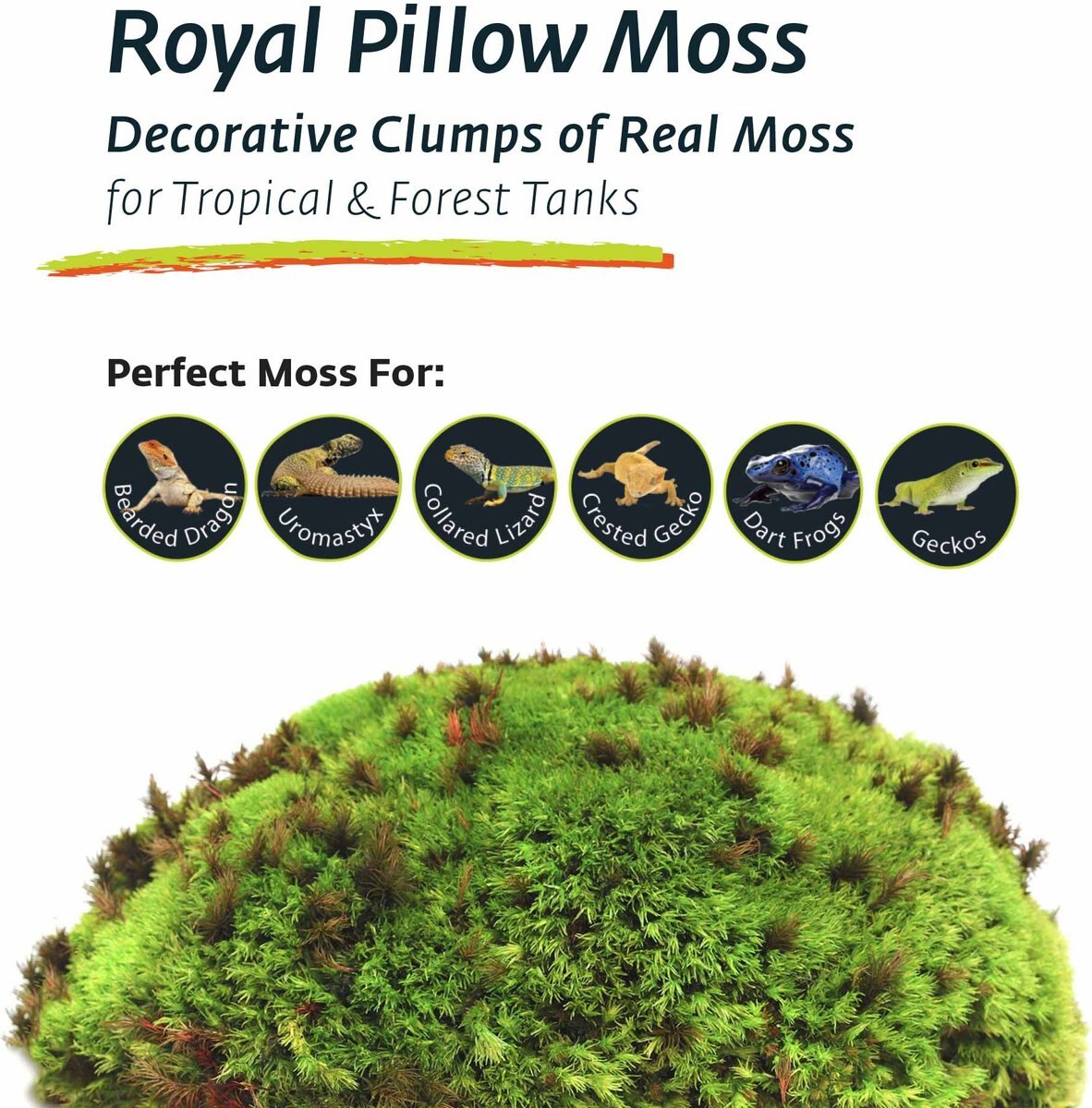 Galapagos Royal Pillow Moss Reptile and Amphibian Terrarium Moss， Fresh Green