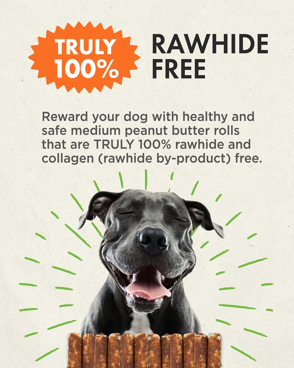 Canine Naturals Hide Free Peanut Butter Flavor Roll Dog Chew Treat， Medium